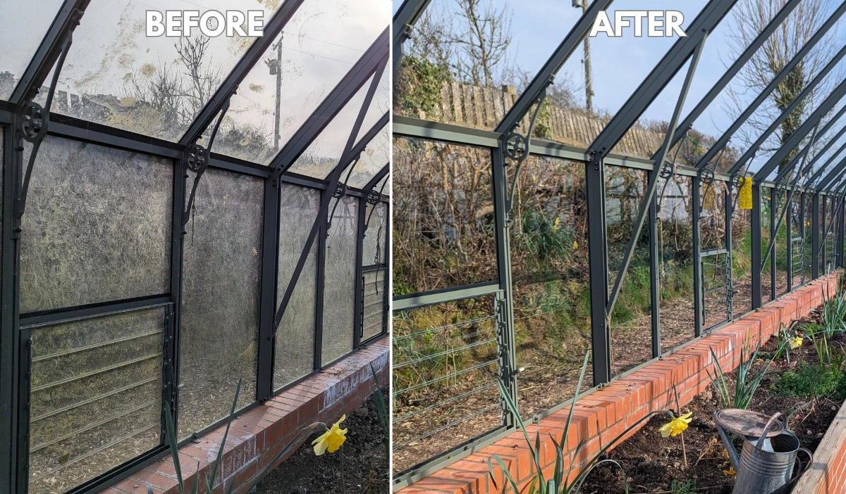 Before and after greenhouse cleaning