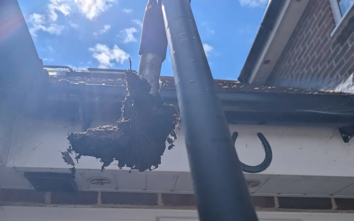 Moss and debris being vacuumed out of a gutter in Swindon