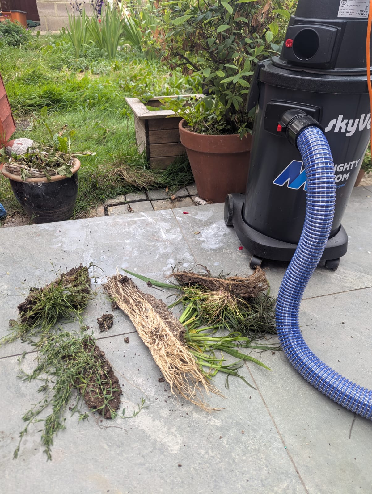 Gutter emptying service in Swindon