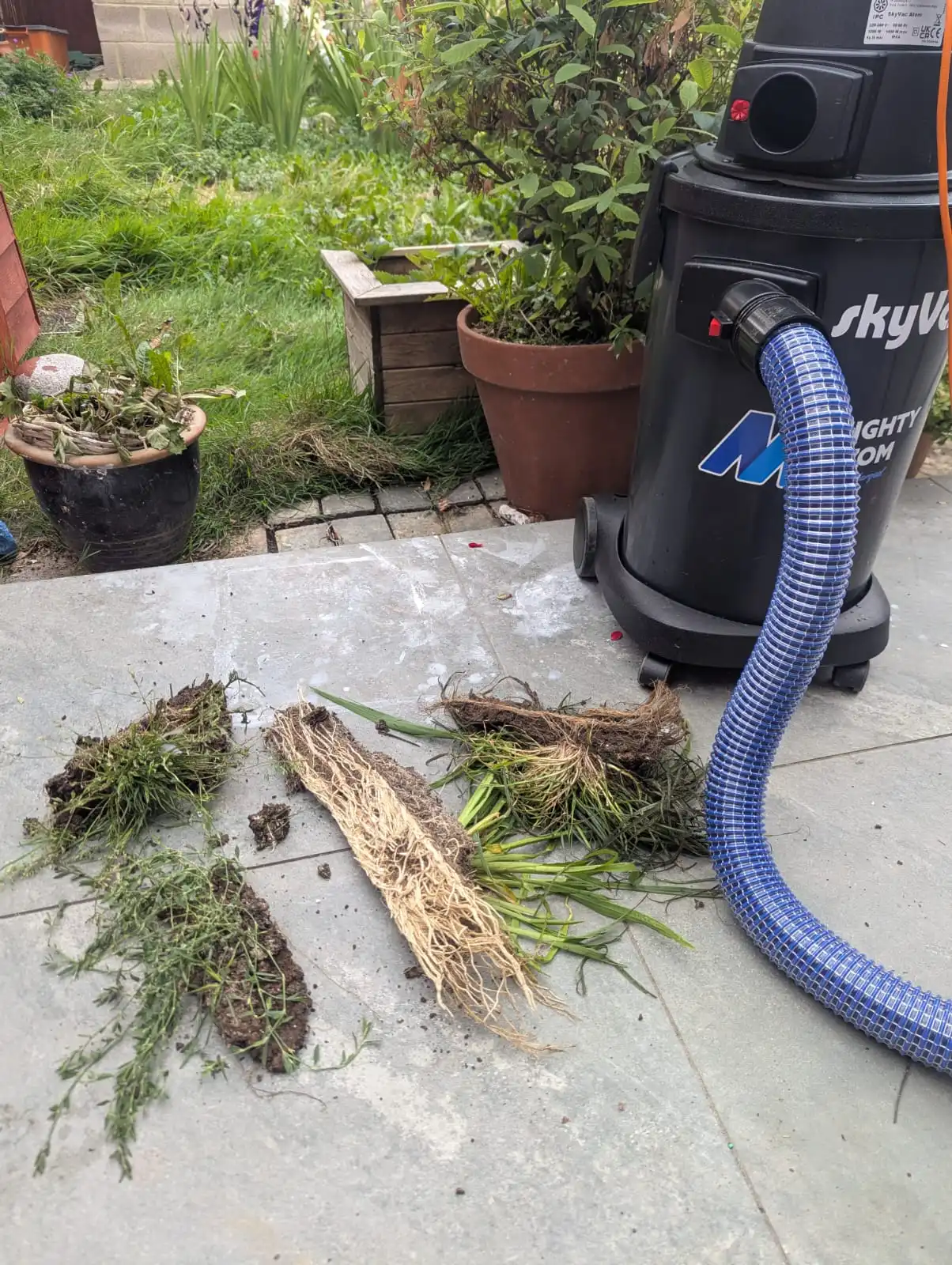 Gutter emptying service in Swindon